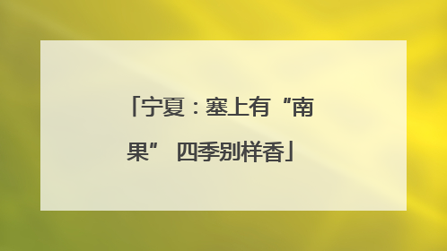 宁夏：塞上有“南果” 四季别样香