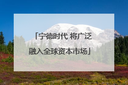 宁德时代 将广泛融入全球资本市场