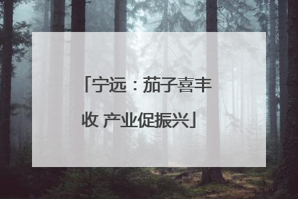 宁远：茄子喜丰收 产业促振兴