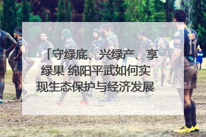 守绿底、兴绿产、享绿果 绵阳平武如何实现生态保护与经济发展双赢？｜新闻发布最前线·深一度