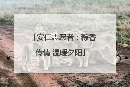 安仁志愿者：粽香传情 温暖夕阳