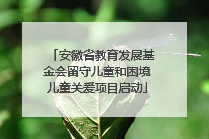 安徽省教育发展基金会留守儿童和困境儿童关爱项目启动