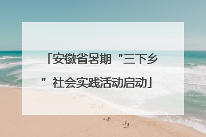 安徽省暑期“三下乡”社会实践活动启动