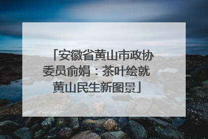 安徽省黄山市政协委员俞娟：茶叶绘就黄山民生新图景