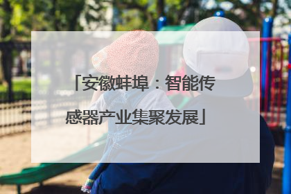 安徽蚌埠：智能传感器产业集聚发展