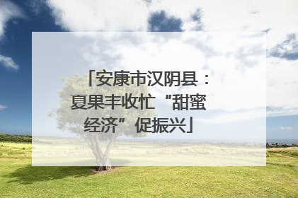 安康市汉阴县：夏果丰收忙“甜蜜经济”促振兴