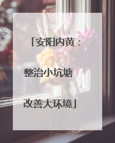 安阳内黄：整治小坑塘 改善大环境