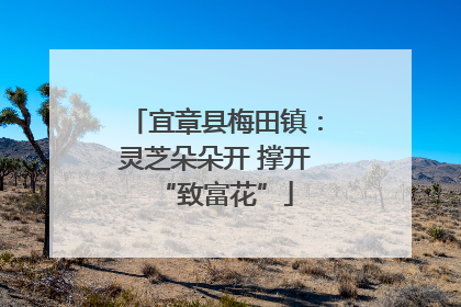 宜章县梅田镇：灵芝朵朵开 撑开“致富花”