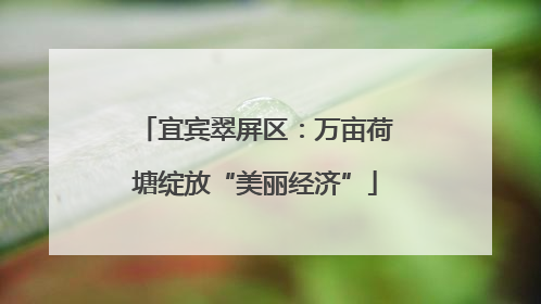 宜宾翠屏区：万亩荷塘绽放“美丽经济”