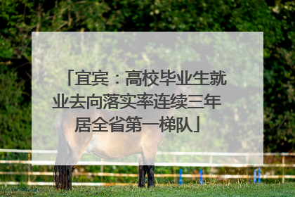 宜宾：高校毕业生就业去向落实率连续三年居全省第一梯队