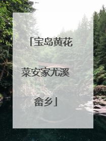 宝岛黄花菜安家尤溪畲乡