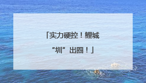 实力硬控！鲤城“圳”出圈！