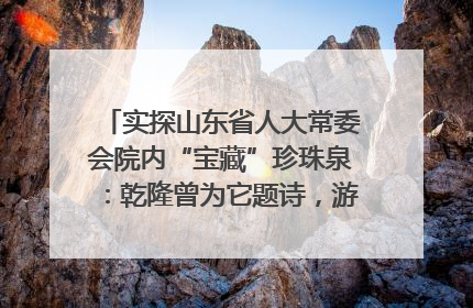 实探山东省人大常委会院内“宝藏”珍珠泉：乾隆曾为它题诗，游客无需预约免费游览