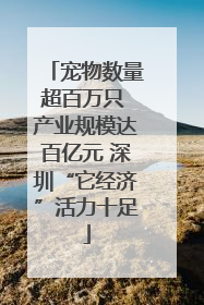 宠物数量超百万只 产业规模达百亿元 深圳“它经济”活力十足