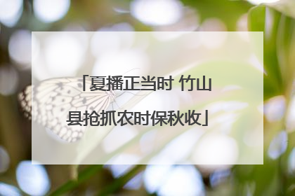夏播正当时 竹山县抢抓农时保秋收