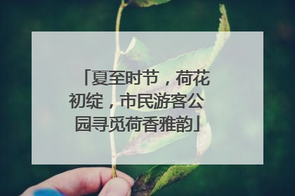 夏至时节，荷花初绽，市民游客公园寻觅荷香雅韵