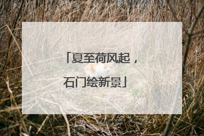 夏至荷风起，石门绘新景