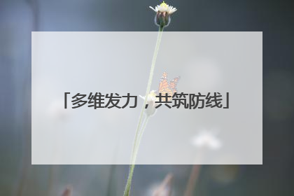 多维发力，共筑防线