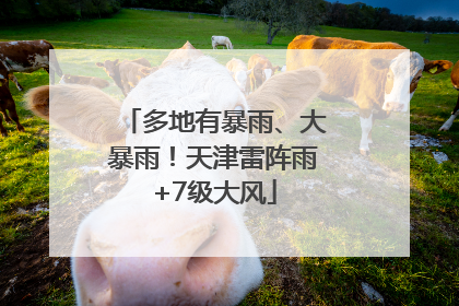 多地有暴雨、大暴雨！天津雷阵雨+7级大风