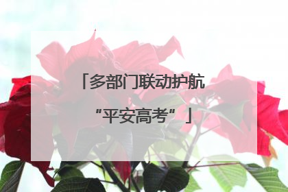 多部门联动护航“平安高考”