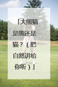 大熊猫是熊还是猫？（把自然讲给你听）