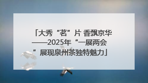 大秀“茗”片 香飘京华——2025年“一展两会”展现泉州茶独特魅力