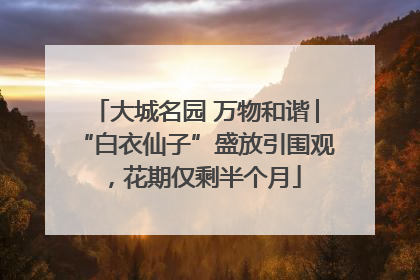 大城名园 万物和谐│“白衣仙子”盛放引围观，花期仅剩半个月