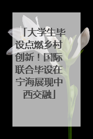 大学生毕设点燃乡村创新！国际联合毕设在宁海展现中西交融