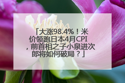大涨98.4%！米价领跑日本4月CPI，前首相之子小泉进次郎将如何破局？