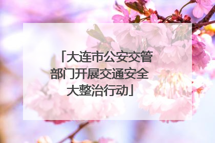 大连市公安交管部门开展交通安全大整治行动