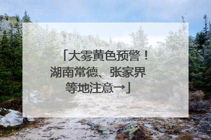 大雾黄色预警！湖南常德、张家界等地注意→
