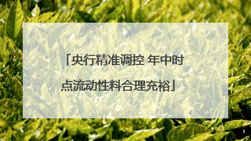 央行精准调控 年中时点流动性料合理充裕