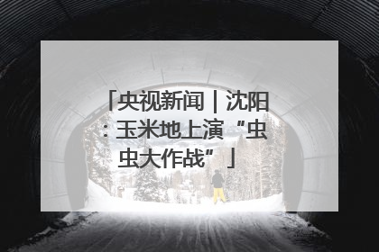 央视新闻｜沈阳：玉米地上演“虫虫大作战”