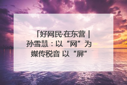 好网民·在东营｜孙雪慧：以“网”为媒传税音 以“屏”为介助发展