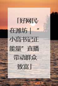 好网民·在潍坊｜“小高书记正能量”直播 带动群众致富