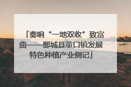 奏响“一地双收”致富曲——鄄城县董口镇发展特色种植产业侧记