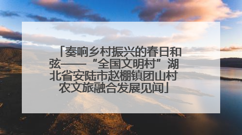 奏响乡村振兴的春日和弦——“全国文明村”湖北省安陆市赵棚镇团山村农文旅融合发展见闻