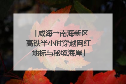 威海→南海新区 高铁半小时穿越网红地标与秘境海岸