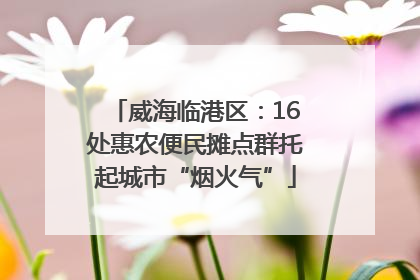 威海临港区：16处惠农便民摊点群托起城市“烟火气”