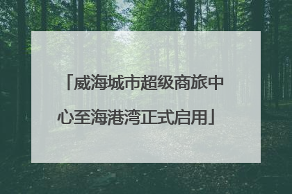 威海城市超级商旅中心至海港湾正式启用