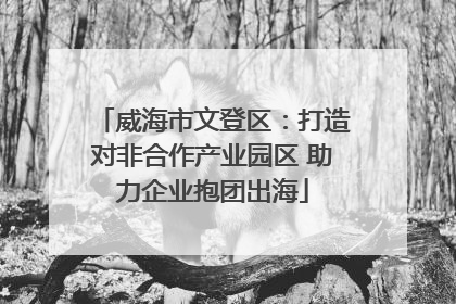 威海市文登区：打造对非合作产业园区 助力企业抱团出海