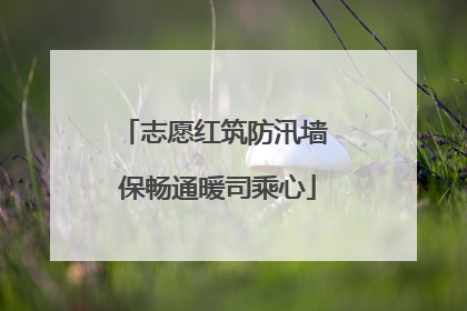 志愿红筑防汛墙 保畅通暖司乘心