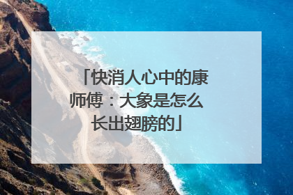 快消人心中的康师傅：大象是怎么长出翅膀的