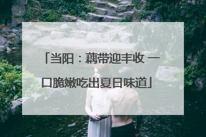 当阳：藕带迎丰收 一口脆嫩吃出夏日味道