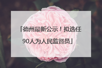 德州最新公示！拟选任90人为人民监督员