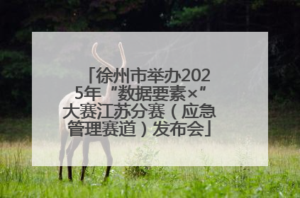 徐州市举办2025年“数据要素×”大赛江苏分赛（应急管理赛道）发布会