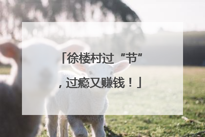 徐楼村过“节”，过瘾又赚钱！
