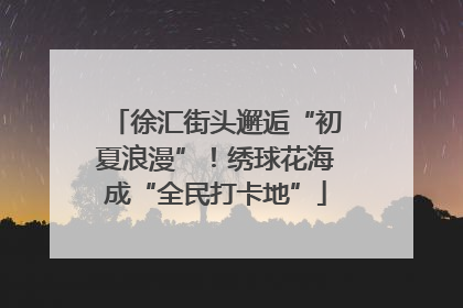 徐汇街头邂逅“初夏浪漫”！绣球花海成“全民打卡地”