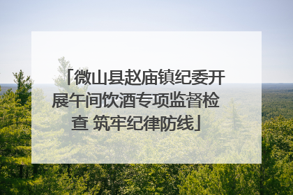 微山县赵庙镇纪委开展午间饮酒专项监督检查 筑牢纪律防线