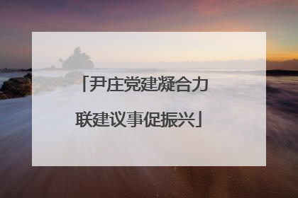 尹庄党建凝合力 联建议事促振兴